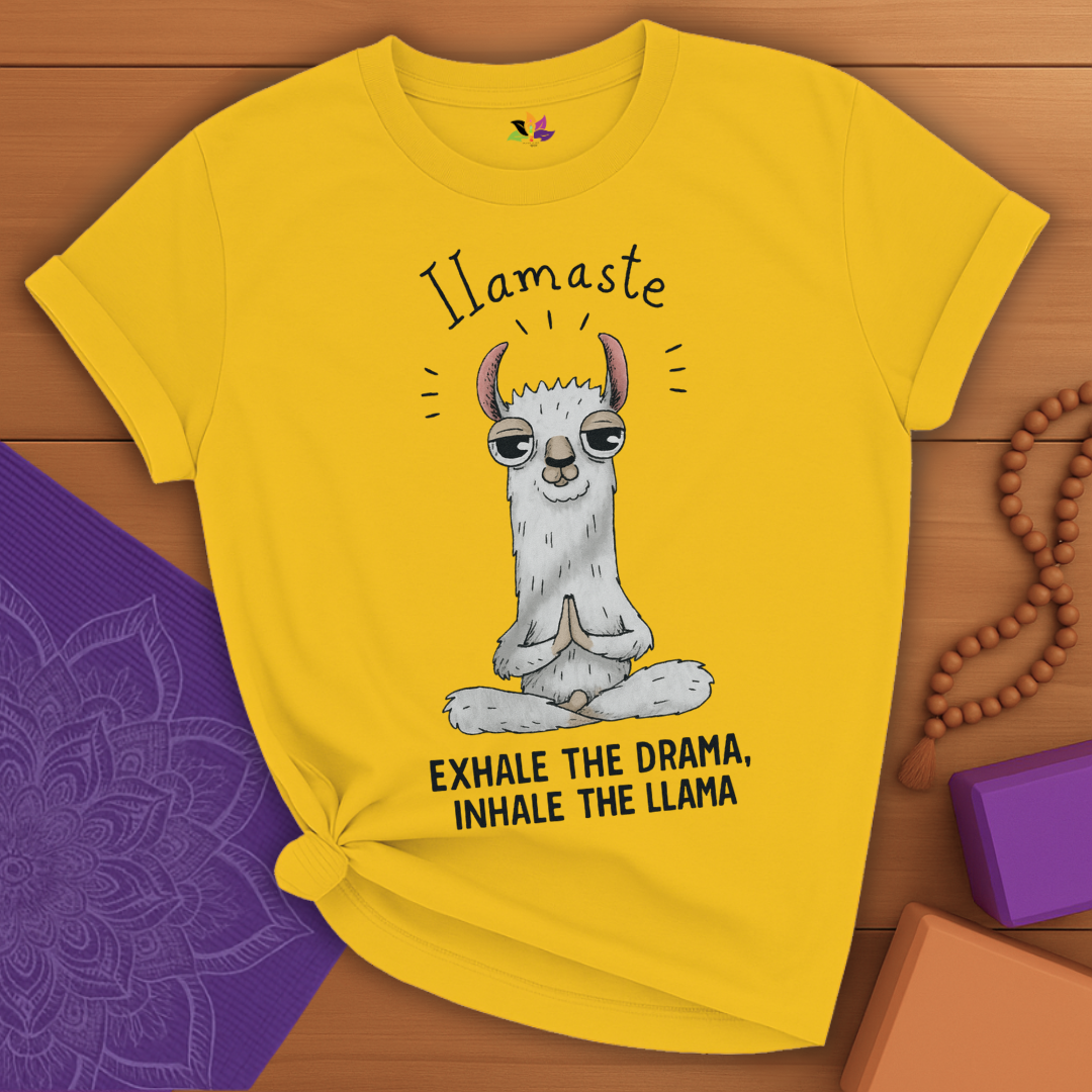 Llamaste Vibes T-shirt